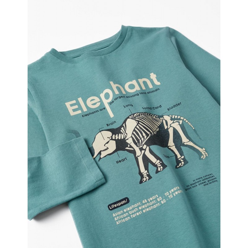 LONG SLEEVE COTTON T-SHIRT FOR BOYS 'ELEPHANT', TURQUOISE