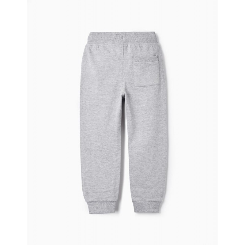 SLIM FIT JOGGERS FOR BOYS, GREY